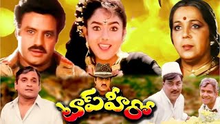 Top Hero Full Length Telugu Movie [upl. by Llertnahs]