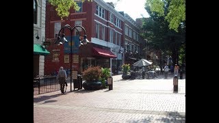 Street Guitarist Charlottesville Historic Downtown Mall [upl. by Jennilee513]