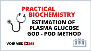 08 ESTIMATION OF PLASMA GLUCOSE  GOD POD METHOD  BIOCHEMISTRY PRACTICAL [upl. by Okimuk]