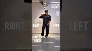 How to do Harlem shake dance step  hip hop dictionary  bhole se Surat remix  ammyhop29 dance [upl. by Aicirtan]