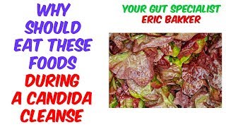 Best Foods To EAT During A Candida Cleanse  Ask Eric Bakker [upl. by Aernda]