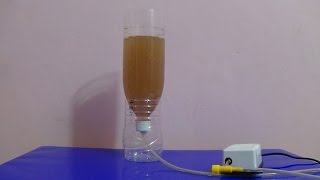 How to Hatch Brine Shrimp Eggs [upl. by Haidebej]