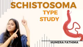 SCHISTOSOMA HAEMATOBIUM  TYPE STUDY BSc  Sem 1 Humera [upl. by Skardol]