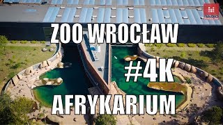 Wrocławskie Zoo z lotu ptaka Afrykarium Tiergarten z perspektywy drona [upl. by Alahs920]