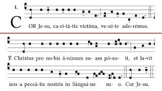 Cor Jesu Caritátis Víctima No 72 Cantus Selecti [upl. by Gresham]