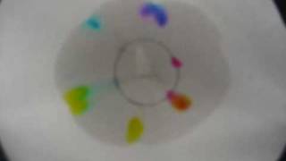 Chromatography Highlighter in Water [upl. by Zinn]