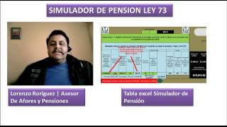 Calculo de tu pension Ley 73 con este simulador excel [upl. by Ilsa]