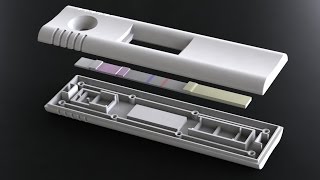 DCN Diagnostics Lateral Flow Assay Development [upl. by Kwapong]