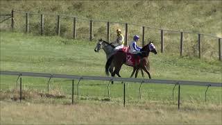 Tumbarumba 27 01 2024 Race 6 [upl. by Yesrod34]