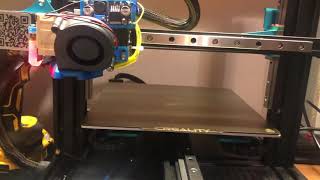 Creality Ender 3 v2 blv Project E3d hemera 150mms first test on klipper [upl. by Ilenay]