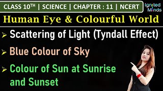 Class 10th Science  Scattering of Light Tyndall Effect  Blue Sky  Colour of Sun  Chapter 11 [upl. by Tdnerb]