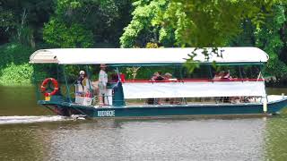 Kuranda Riverboat  45 Minute River Cruise  Experience Oz [upl. by Thelma]