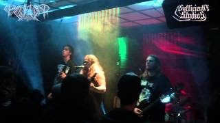 PAGANIZER  Scandinavian Warmachine  Live 2014 [upl. by Aicul]