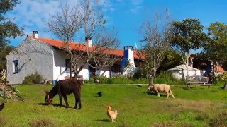 As cores do Alentejo [upl. by Enaira]