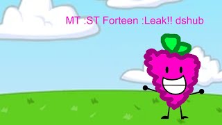 MT ST Forteen Leak [upl. by Haiel]