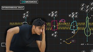 Oxidative Phosphorylation  MDCAT Biology [upl. by Ibur]