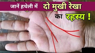 Forked life line palmistry हस्तरेखा [upl. by Glovsky]