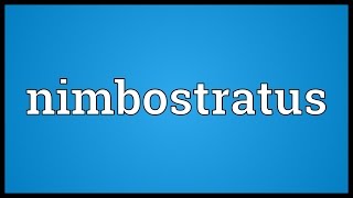 Nimbostratus Meaning [upl. by Azelea]