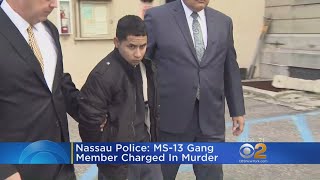 Police On LI Arrest A Suspected MS13 Gang Member [upl. by Gwenni982]