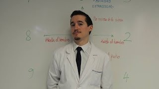 Aprender a hacer la Motilidad Extraocular  Pruebas Previas [upl. by Jenn]