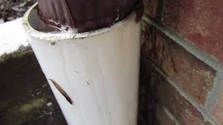 Frozen downspout overflowing [upl. by Hersch]