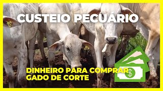 Empréstimo para comprar gado de corte  Custeio Pecuário pronaf agriculturafamiliar [upl. by Ilatfan]