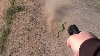 Ruger LCR 22 LR VS Snake [upl. by Sokairyk457]