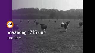 Dorpsfilm van Breedenbroek in 1970  25 maart TV Gelderland [upl. by Seuqramed]