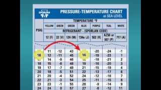 How to Use a PT Chart [upl. by Erdnua]