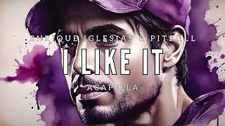 Enrique Iglesias amp Pitbull  I Like It Studio Acapella [upl. by Aehr]