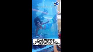 Shopping mall mermaid struggles for air as tail gets caught [upl. by Bazluke215]