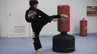 100 Taekwondo Speed Kicks in 66 Seconds  How Fast Can You Do It Take a Vote [upl. by Vivle]