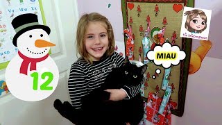 ADVENTSKALENDER 2019 ÖFFNEN TAG 12 ⛄️ Was für ein Geschenk versteckt sich im Kalender 😻 Eine Katze [upl. by Oniskey]