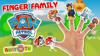 Finger Family Paw Patrol in italiano 🖐 🎵 Canzoni per bambini La famiglia delle dita Paw Patrol [upl. by Dnumyar]