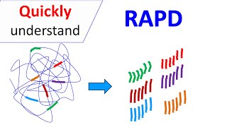 RAPD  Random Amplification of Polymorphic DNA [upl. by Atnauq]