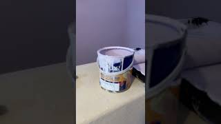 Painting a girls bedroom trying out Dulux easy care hopefully its toddler proof [upl. by Ainehta]