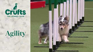 Agility  Singles Heat Part 2 Agility  ​Crufts 2024 [upl. by Berri719]