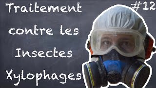 Traitement contre les Insectes Xylophages  NLAB 12 [upl. by Nebur]