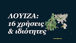 Λουΐζα 16 χρήσεις amp ιδιότητες [upl. by Oza]