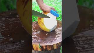 satisfying coconut slicing sound ASMR  Best Knife For Cutting [upl. by Ym]