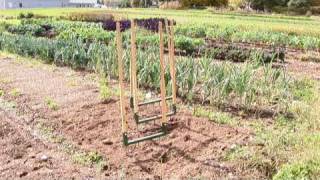 How to Aerate Your Soil [upl. by Talbot]