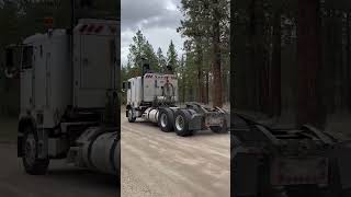 Bobtailing through the woods freightliner cabover bobtail cat bc canada trucking [upl. by Nyltyak]