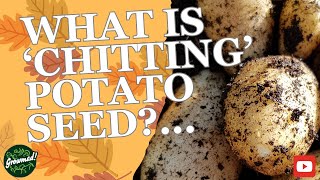 What is Chitting Potato Seed [upl. by Massey]