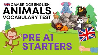 Pre A1 Fun for Starters  Animal vocabulary Cambridge English YLE Exams [upl. by Jezrdna]