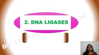 DNA Ligase  DNA Manipulative Enzymes [upl. by Ais957]