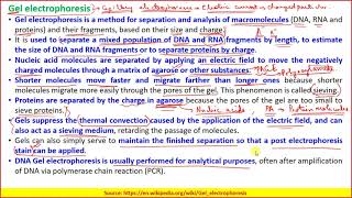 Lecture 30 Electrophoretic Techniques PartII [upl. by Benenson864]