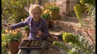 Gardeners World S41e07 180408 [upl. by Enairda]