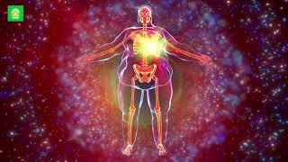 Manifest Your Ideal Body  Body Transformation Meditation 2958 Hz Binaural Beats [upl. by Ellinej]