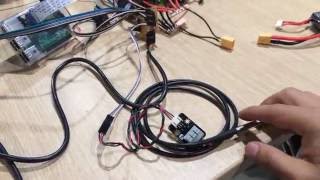 Testing Temperature Sensor DS18B20 [upl. by Enitselec]