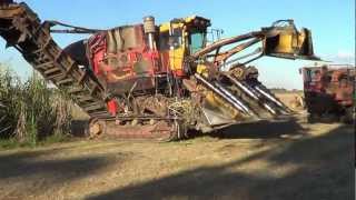 Sugar Cane Harvester in Australia [upl. by Eidde]